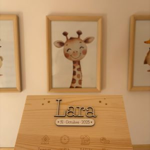 Caja Nacimiento